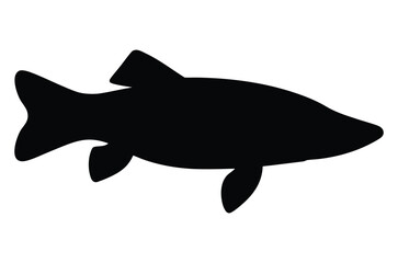 Muskellunge fish silhouette vector, Pike fish black silhouette 