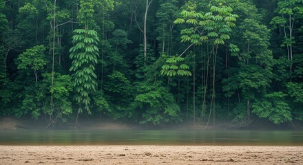 Lush Tropical Rainforest Riverbank with Dense Green Foliage and Sandy Shoreline Tranquil Amazonian Jungle Landscape