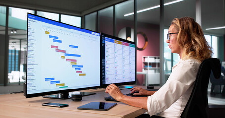 Project Manager Analyzing Gantt Chart