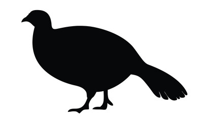 Fototapeta premium Pheasant silhouette, Pheasant black vector illustration