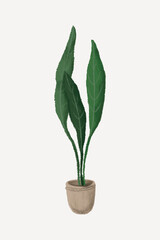 Aesthetic houseplant, home decoration collage element vector