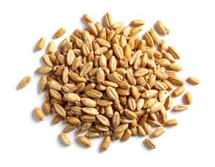 Obraz premium Scattering of Whole Rye Berries Isolated on a Seamless White Background