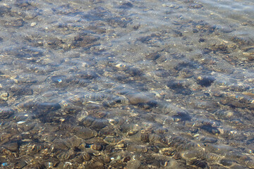 miyazu bay in amanohashidate in japan 