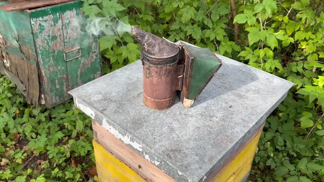 Beekeeping tool releasing white smoke outdoors
