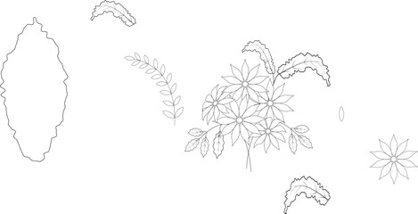 coloring page, flower, vintage, vector, floral, pattern, nature, leaf, plant, design, flowers, decoration, branch, card, summer, seamless, art, drawing, illustration, rose, sketch, ornament, wallpaper