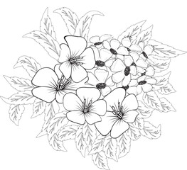 coloring page, flower, vintage, vector, floral, pattern, nature, leaf, plant, design, flowers, decoration, branch, card, summer, seamless, art, drawing, illustration, rose, sketch, ornament, wallpaper