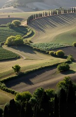 aerial view of green fields
