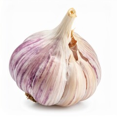 Single Whole Garlic Bulb with Purple Stripes on White Background Close Up