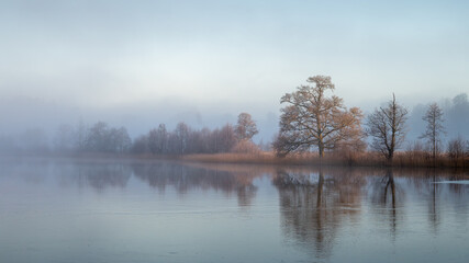 Misty morning, a calm dreamy scene. Trees and lake, nature photography taken in February. Swedish winter landscape.