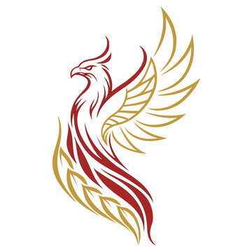 Phoenix bird rising from flames, mythical creature