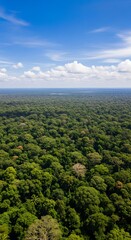 Fototapeta premium A vast expanse of lush tropical forest stretches beneath a vibrant blue sky filled with fluffy white clouds, showcasing the breathtaking beauty of nature's canopy from an aerial perspective.