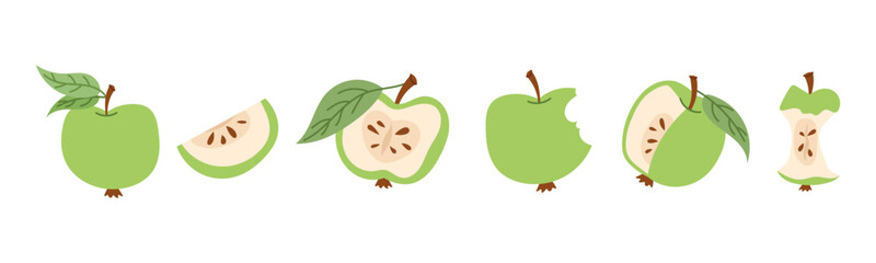 Green apples vector illustration set with soft outline. Fresh minimal fruit collection with halves, slices and core isolated on white background.