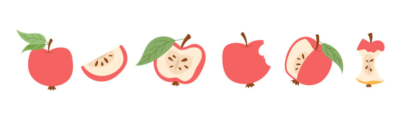 Modern apple collection in minimal line style. Simple fruit design with outline, halves and slices isolated on white background.