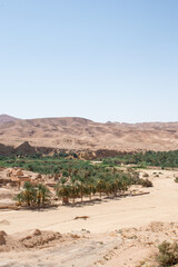 Ruins of old village of Tamerza or Tamaghza, abandoned in 1969. The village collapsed following rains that lasted several days. The materials did not resist water infiltration