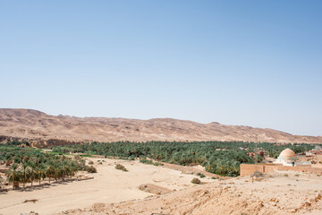 Aerial view of Tamerza palm grove, Tunisia
