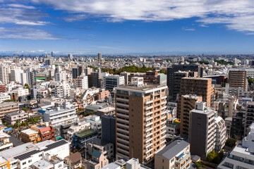 Fototapeta premium Aerial view of Tokyo urban district at midday, apartments and commercial towers line broad boulevards, tight neighborhoods and a park patch extend to the horizon.