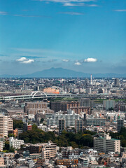 Aerial view of Tokyo in daytime shows apartments, office towers, elevated expressways, arched bridges, a white and red smokestack, parks, and distant blue mountains.