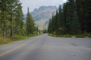 Naklejka premium Scenic winding Mountain Road Through Dense Forest Toward Alpine Peaks in Autumn Light Glacier National Park Montana.Pine forest toward rugged alpine peaks. Golden autumn hues glow among tall evergreen