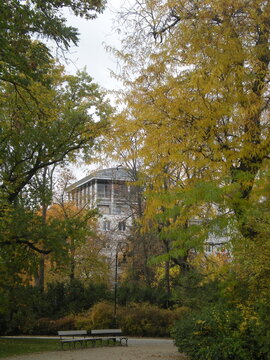 jesień w parku