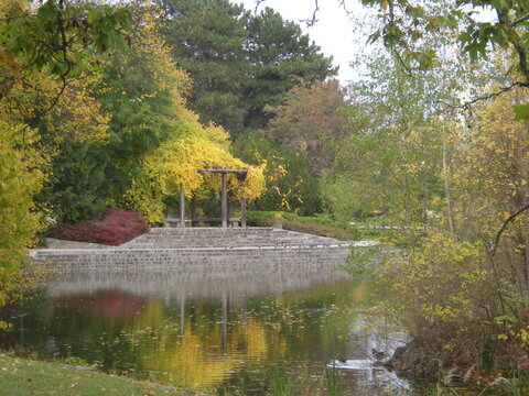 jesień w parku