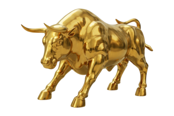 Shiny gold bull statue stands strong with powerful stance on black.