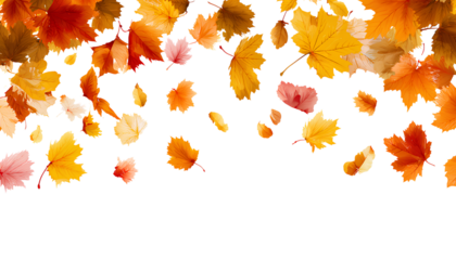 autumn border with falling leaves on transparent