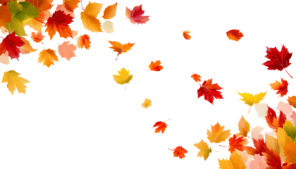 autumn border with falling leaves on transparent background