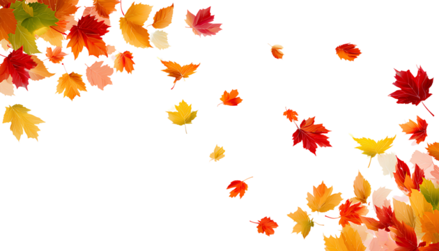 autumn border with falling leaves on transparent background