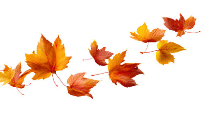 Fototapeta premium set of flying autumn leaves, isolated on a transparent background