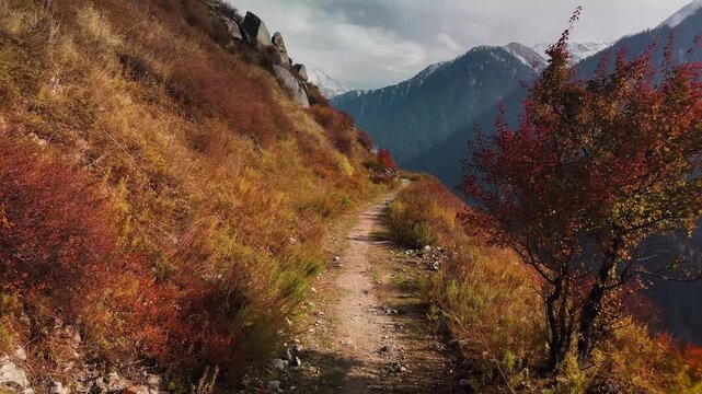 Aerial view panorama of yellow autumn forest in Almaty