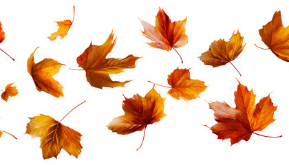 set of flying autumn leaves, isolated