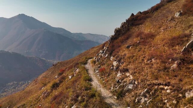 Aerial view panorama of yellow autumn forest in Almaty