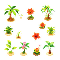 Obraz premium Collection of tropical plants and flowers on sandy islets isolated on black