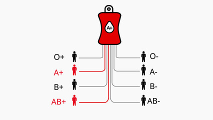 Blood Donation Compatibility Chart Showing A Positive Blood Bag and Recipients blood type O positive