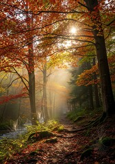 Fototapeta premium A sun-drenched forest path, bathed in autumnal hues, winds through a misty woodland.