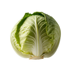 Obraz premium A fresh, whole green cabbage with crisp leaves and water droplets, isolated on a clean white background.