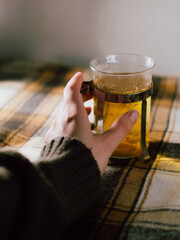 Cozy Hand Holding Hot Herbal Tea Mug. Chamomile tea. 