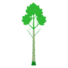 Green aspen tree with leaves in vector format