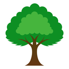 Green tree with dense foliage in vector format
