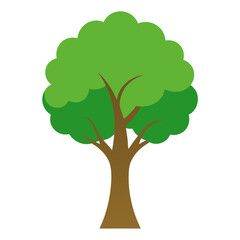 Green tree with leaves vector illustration