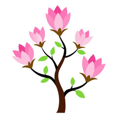 Magnolia tree with pink flowers illustration