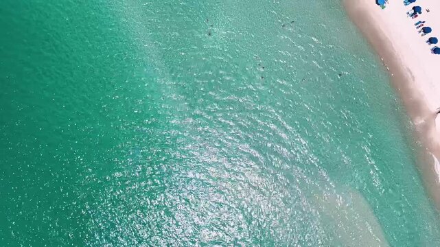 Aerial sea top down of white sand beach on summer day in Panama City Beach Florida panhandle