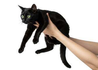 Person holding a black cat with bright green eyes against a black background.