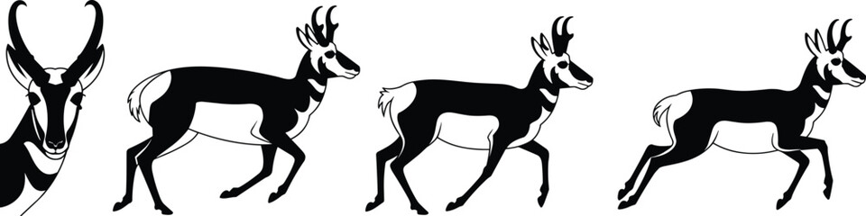 Black and white pronghorn antelope illustrations, running motion sequence, wildlife sketch, animal stride study, ink drawing, nature anatomy, speed and agility art