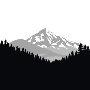 A serene mountain landscape with a majestic snow-capped peak surrounded by a forest of evergreen trees in a natural scenic vista.