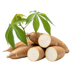 Fresh raw cassava root with leaves isolated on transparent background, healthy food