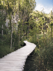 Light wooden boardwalk curves through a lush forest canyon with limestone cliffs and green foliage under a bright sky in Plitvice.