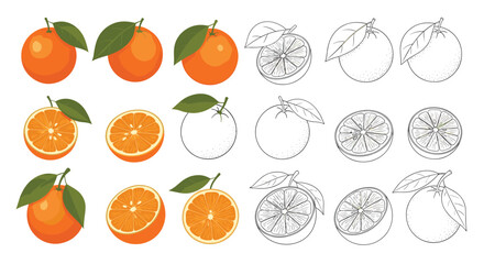 Obraz premium Visual representation of whole and sliced oranges in various artistic styles.