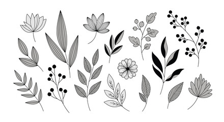 A collection of hand-drawn botanical illustrations featuring leaves and flowers.