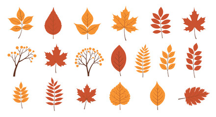 Obraz premium A collection of autumn leaves and sprigs of berries.